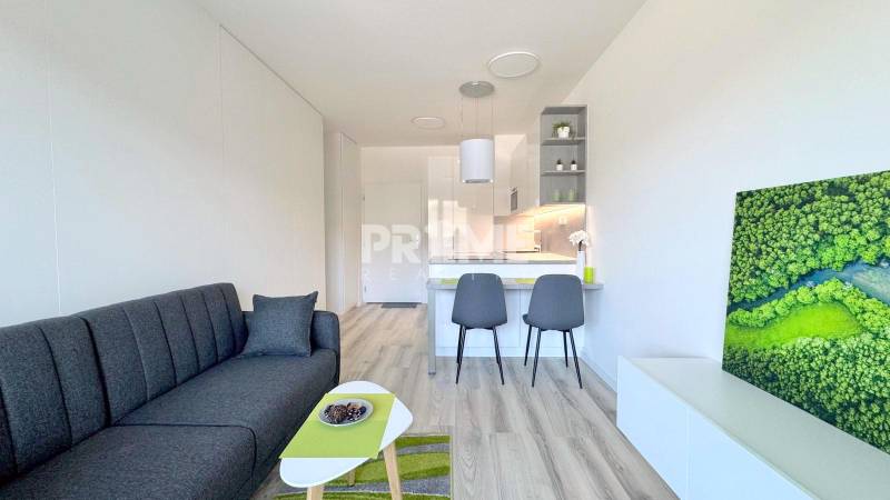 BÝVAJ PRVÝ V 1,5i byte, POD VINICOU, LOGGIA, PARKING, Skalická ulica