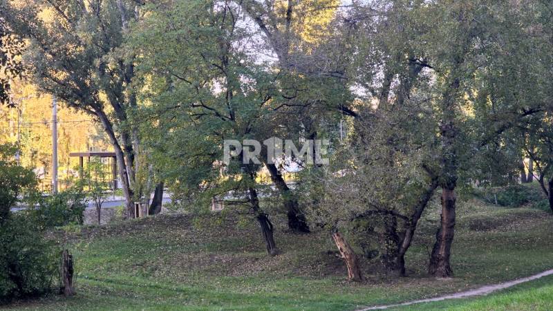 Dvojgarsónka, 2 x loggia, východná orientácia, Gessayova, Petržalka