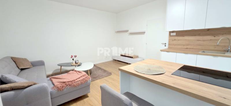 JEDINEČNÝ 2i byt, CENTRUM, REKONŠTRUKCIA, EUROVEA, Klemensová ulica