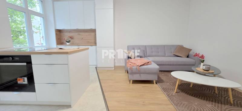 JEDINEČNÝ 2i byt, CENTRUM, REKONŠTRUKCIA, EUROVEA, Klemensová ulica