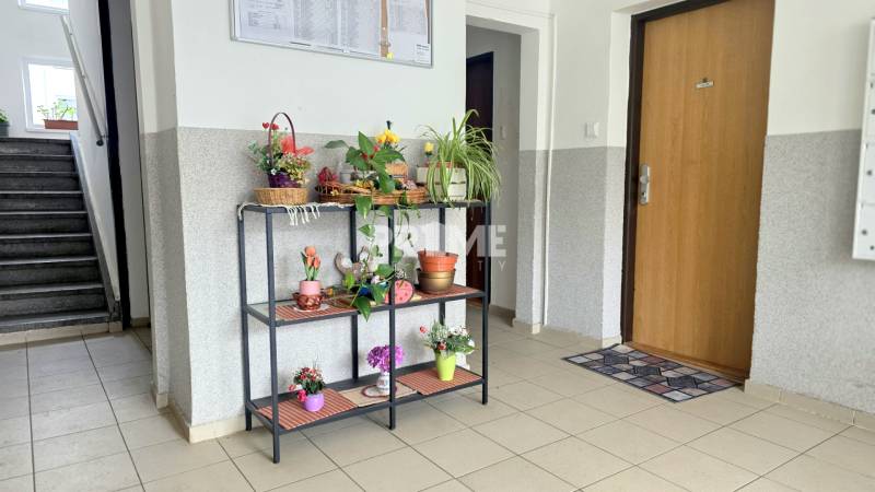 MODERNÝ 3i byt, KOMPLETNÁ REKONŠTRUKCIA, LOGGIA, BALKÓN, Narcisová ul.