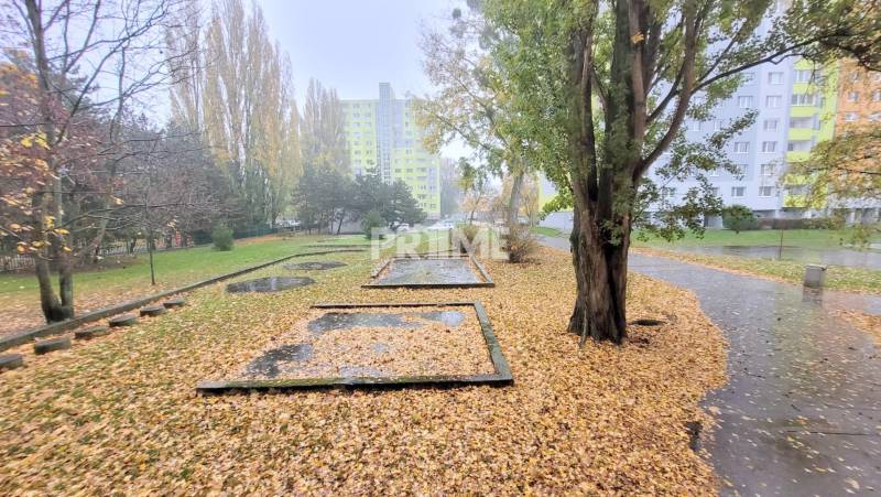 Pekný 2i byt, REKONŠTRUKCIA, TICHÁ ČASŤ, ulica A.Gwerkovej, Petržalka